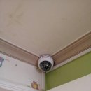 애플어린이집 이미지