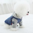 강아지봄 이미지