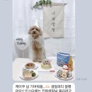 댕댕바게트 이미지