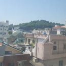산호동243 이미지