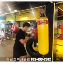 성산효권투체육관 이미지