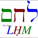 [주원준의 히브리어 산책] 라하마, 레헴, 밀하마 이미지