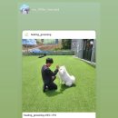 힐링그루밍 | 대형견 목욕, 믿고 맡길 수 있는 곳! 힐링그루밍은 이렇게 달라요