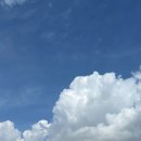 맘스터치 내수점 이미지