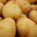 별똥농장 이미지