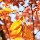 금강로59번길 이미지