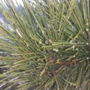 시골별장 이미지