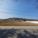 당진센트럴시티부동산중개사무소 이미지