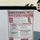 수영구보건소 | 부산 임산부 백일해 주사 무료 접종 받는법, 연제구보건소 가격
