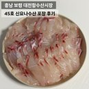 충남 대천항수산시장 신요나수산 자연산 참돔 봄제철회 도다리 대천항 횟집
