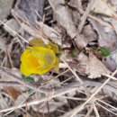 다대포항역 이미지