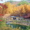 이국적인 국내 여행지 추천 이미지
