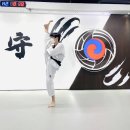 용인대수호태권도전문도장