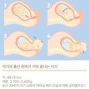 튼튼유도 | 강남차병원 40주차 초산 유도분만실패 제왕절개 후기