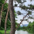 행정사사무소 오행 이미지