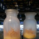 바이오탑 이미지