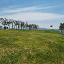 고래불 비치파크골프장 이미지