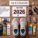 영암공설운동장 | 2026 벚꽃 마라톤 일정 총정리: 안양천·경주·합천 신청 및 취소표 구하는 법