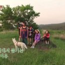 효리네 민박 이미지
