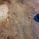 다릿재주유소 이미지