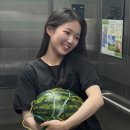 가드망제 김시현 셰프 프로필 식당 나이 결혼