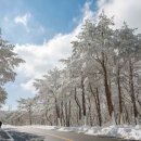 (주)소프트아쿠아 이미지