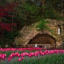 (주)성십자 이미지