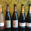 Bubble Dog 이미지