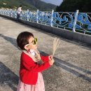 세븐일레븐거제오수대로점 | 거제 가을여행 거제면 오수마을 갈대군락 / 억새군락지 너무 예뻐요!