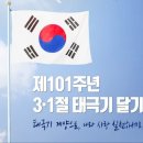 제101주년 3.1절 태극기달기(2.29) 이미지