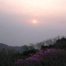 영제청과 | (39) 대청과 공룡을 넘어 미시령으로