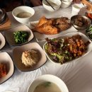 창성(애견) 이미지