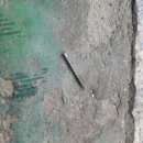 동진카센타 이미지