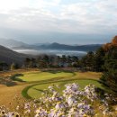 블루버드 이미지