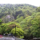 백제어죽 이미지