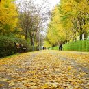 송정제방 이미지