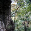 정읍문화원 이미지