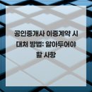 대륜부동산중개 | 공인중개사 이중계약 시 대처 방법: 알아두어야 할 사항