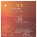 솔숲미디어 이미지