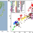 서진환경중기 | 앙소 점마둔 유전자의 증언