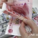 중국채 이미지