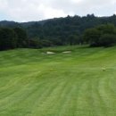 웰리힐리 컨트리클럽 이미지