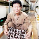 김종희농장 이미지