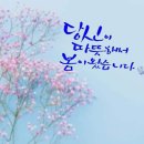 화요일 이미지