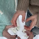 담양리사숲속마을 이미지