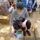 구덕산 유아숲체험원 이미지