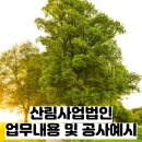 숲길법인 이미지