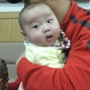 이지후 카카오 검색결과