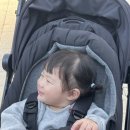 초록여울 캠핑장 이미지