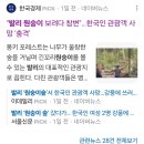 발리에서 강풍에 나무 쓰러져 한국관광객 사망 이미지